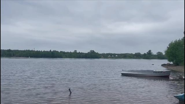 На рыбалку  🐟.