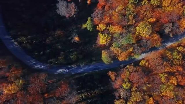 Спокойное дыхание земли под музыку лесной гармонии - Часть 22