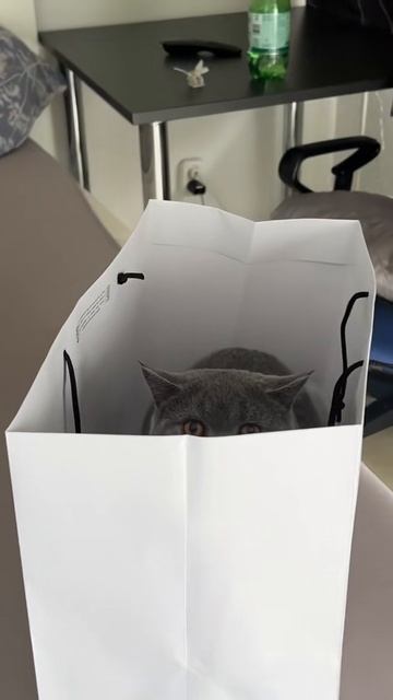 Страшно? Если бы мы знали, что это такое! Но мы не знаем