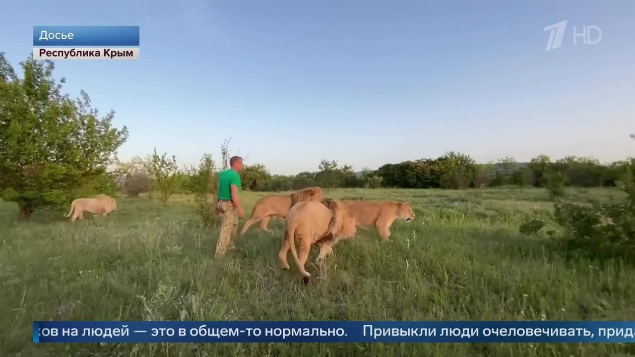 Дрессировщик Багдасаров: поведение Олега Зубкова с животными было большой ошибкой