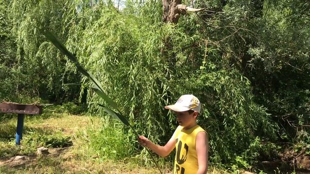 Насобирали земляники с мамой / Влог