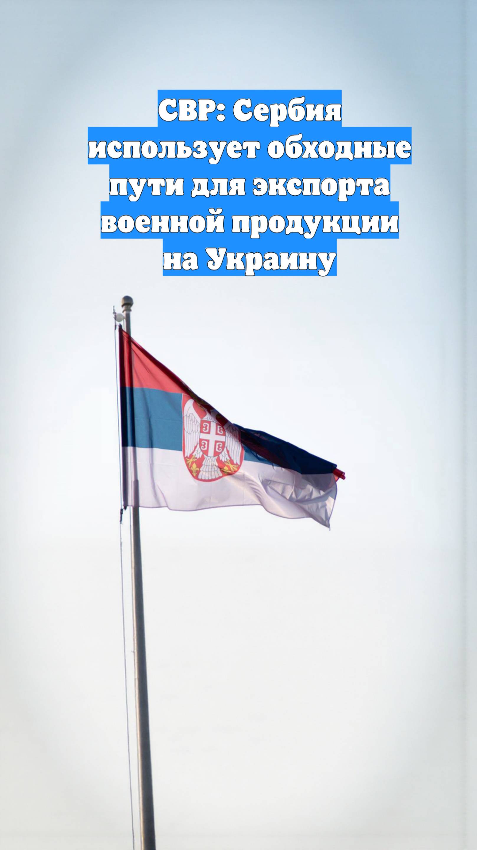 СВР: Сербия использует обходные пути для экспорта военной продукции на Украину