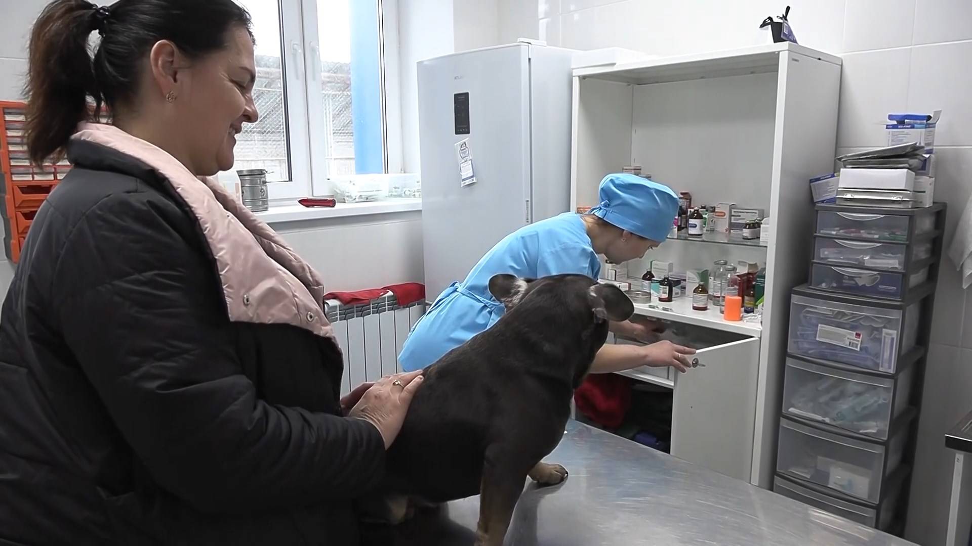 Обязательное чипирование