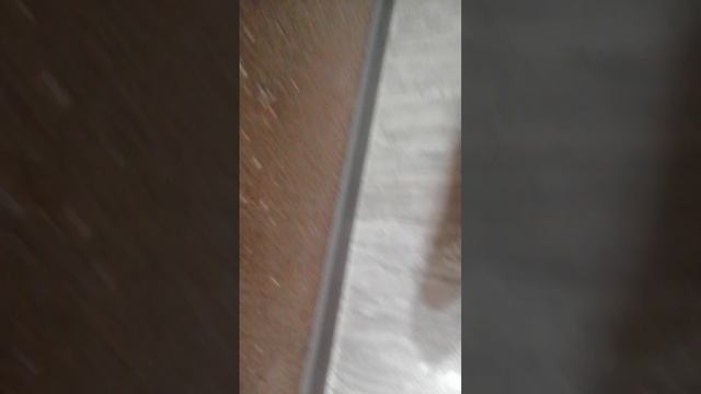 VID_20250623_194636.mp4