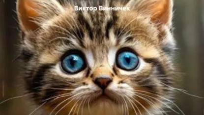 Виктор_Винничек_Пушок_1
