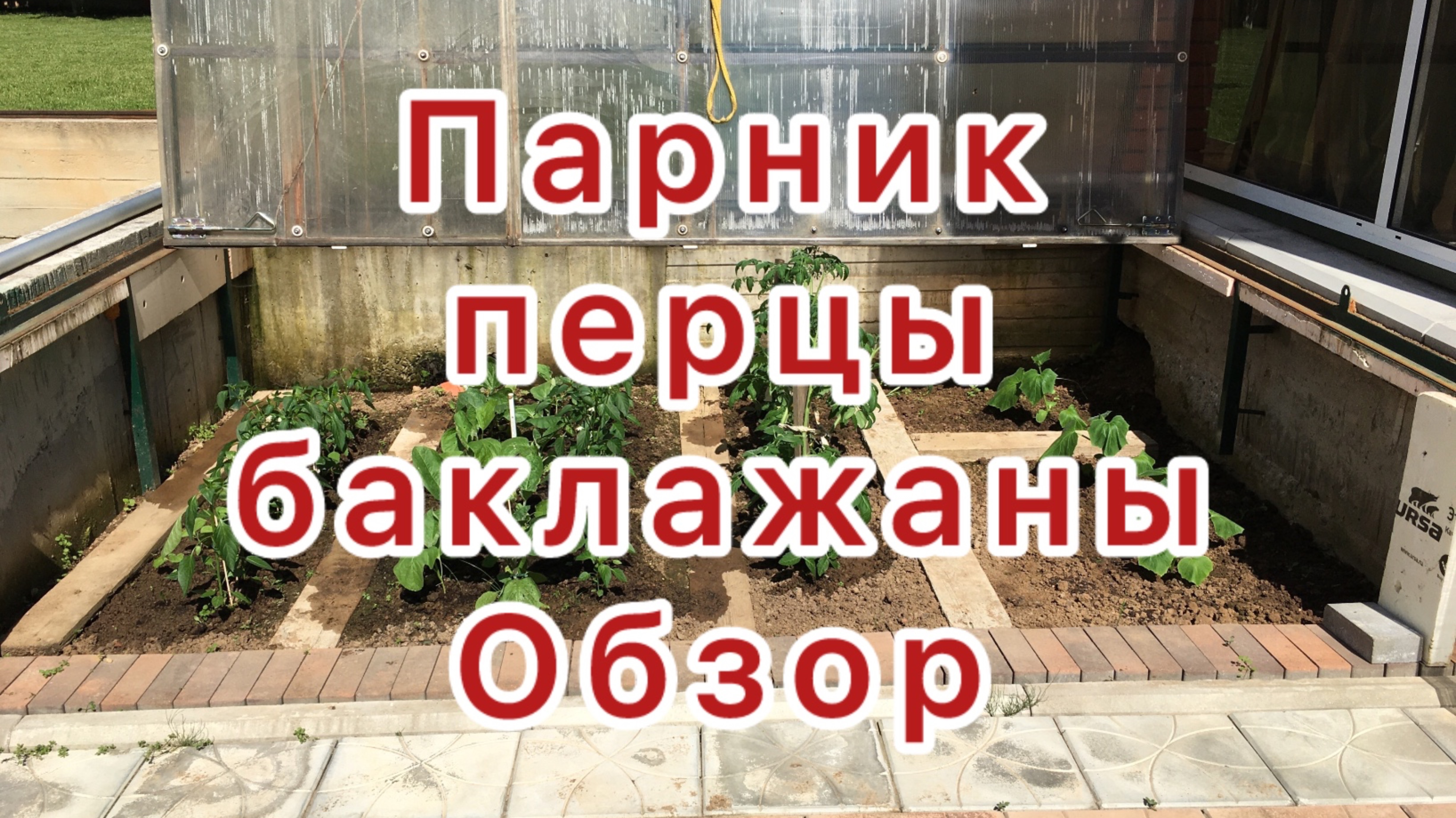 Парник с перцами и баклажанами
Обзор
