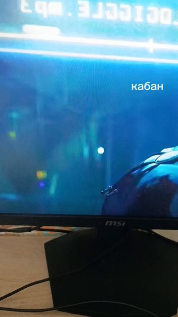 когда увидели кабана в лесу
