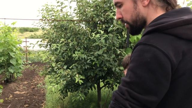 Солнечное затмение / ребрышки на мангале / Влог
