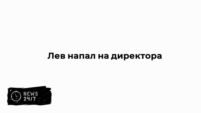 Дело возбудили после нападения льва на директора "Тайгана" Зубкова