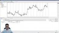Тестирование советника форекс в терминале metatrader 4