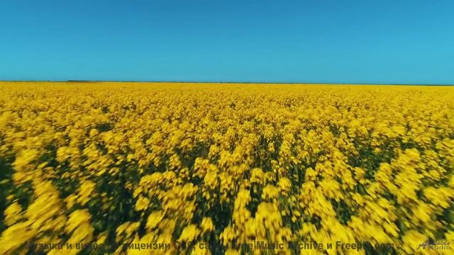 Эта музыка заставит вас пересмотреть свою жизнь! - Foggy Minded World -- HoliznaCC0 -- Shooting Ghos