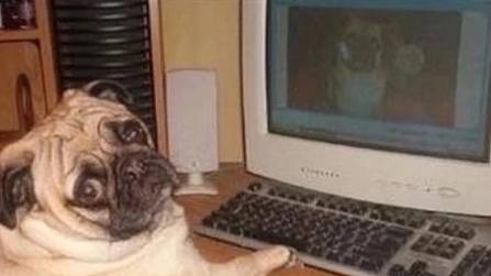 ну вот так вот