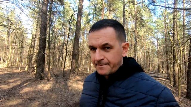 Жизненный цикл автоматических торговых систем форекс