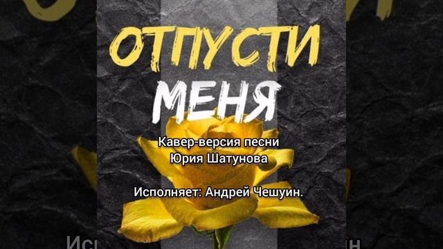 'ОТПУСТИ МЕНЯ (кавер Ю. Шатунова, Андрей Чешуин)