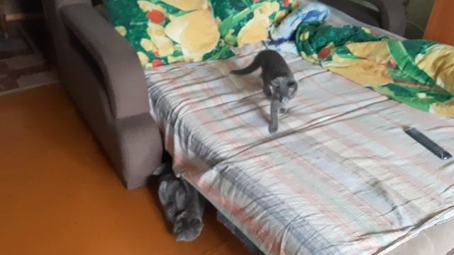 Все приветики, играю со своей подружкой, бесимся немного)