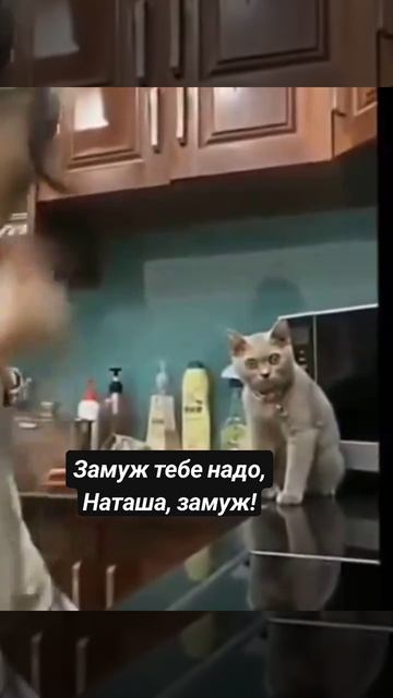 Ржачный прикол