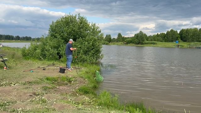 Поимка с основного водоема карп на клубничный трапер !!!