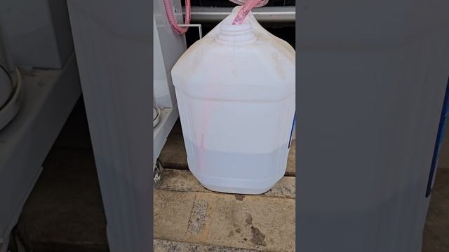 1000417406.mp4