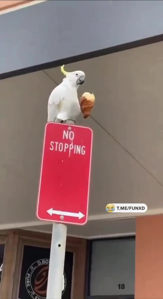Обед обеденный😄