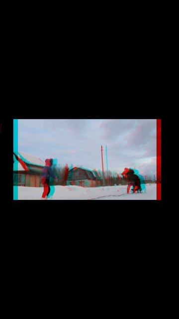 преданность собаки, является результатом хорошей дрессировки