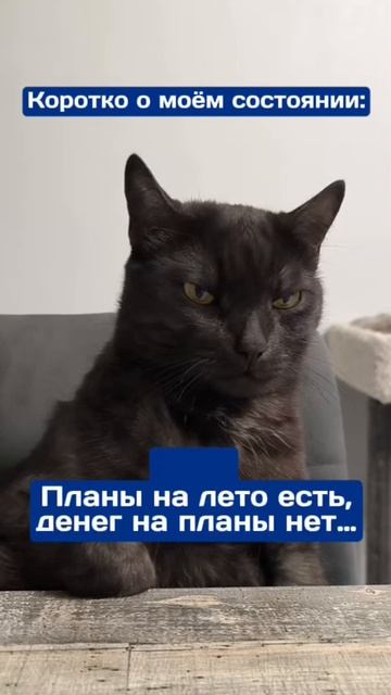 Планы на лето