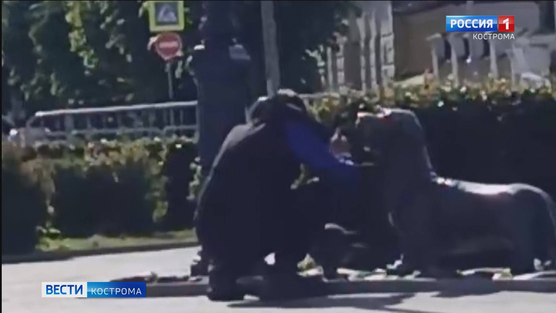 Полицейские поймали мужчину, разорившего копилку пса Бобки в центре Костромы