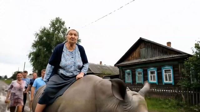 Репортаж из деревни о носороге Ковыряй Потопай