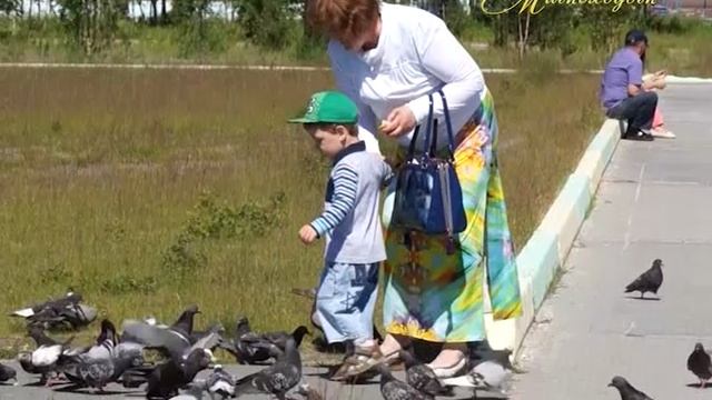 "МИМОХОДОМ", 23 июня 2015 год. Автор проекта О. Дзиов