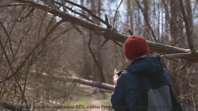 Ты будешь пересматривать его снова и снова - обещаю! - La Splendeur (demo) -- LiSe -- Demo