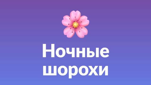 Романс Ночные шорохи