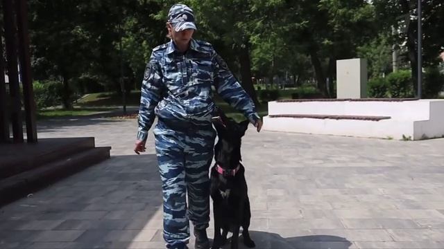 Ум, тонкий нюх и отточенные навыки — главные качества служебной собаки.