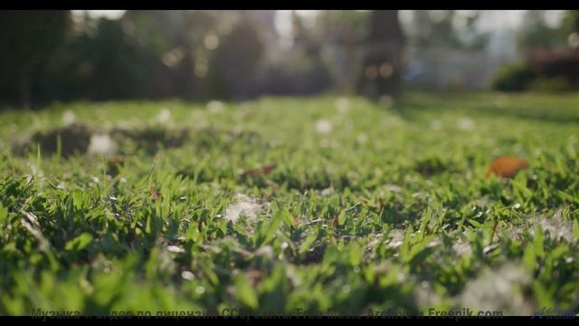 Песни для тех, кто измеряет расстояния не километрами, а эмоциями - Typical Tuesday -- Kirk Osamayo