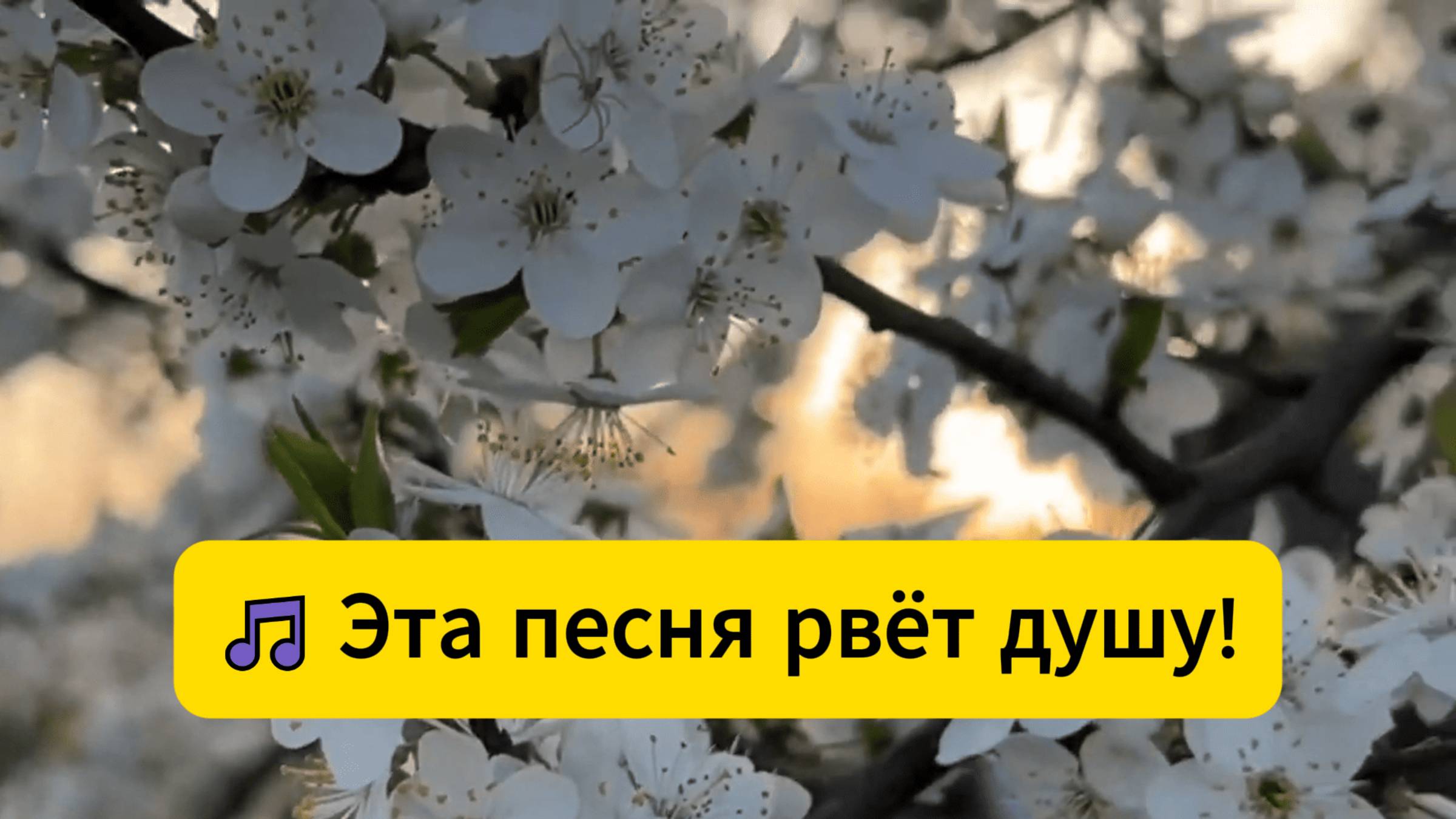 От Ее Голоса Замирает Сердце!!💗 Вот Эта Песня!! Бабье лето