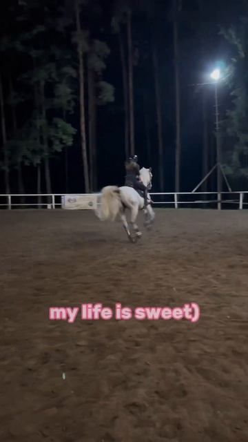 тгк: они killкенни! #horse #horsegirl #лошади #equestrian #equestrianrider #equestrianlife #edit