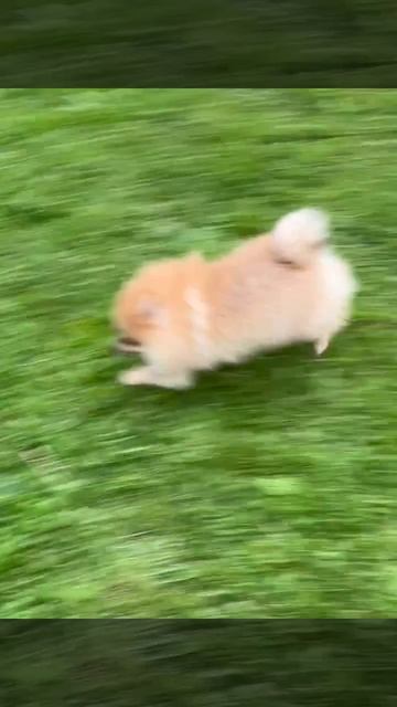 1000020315.mp4