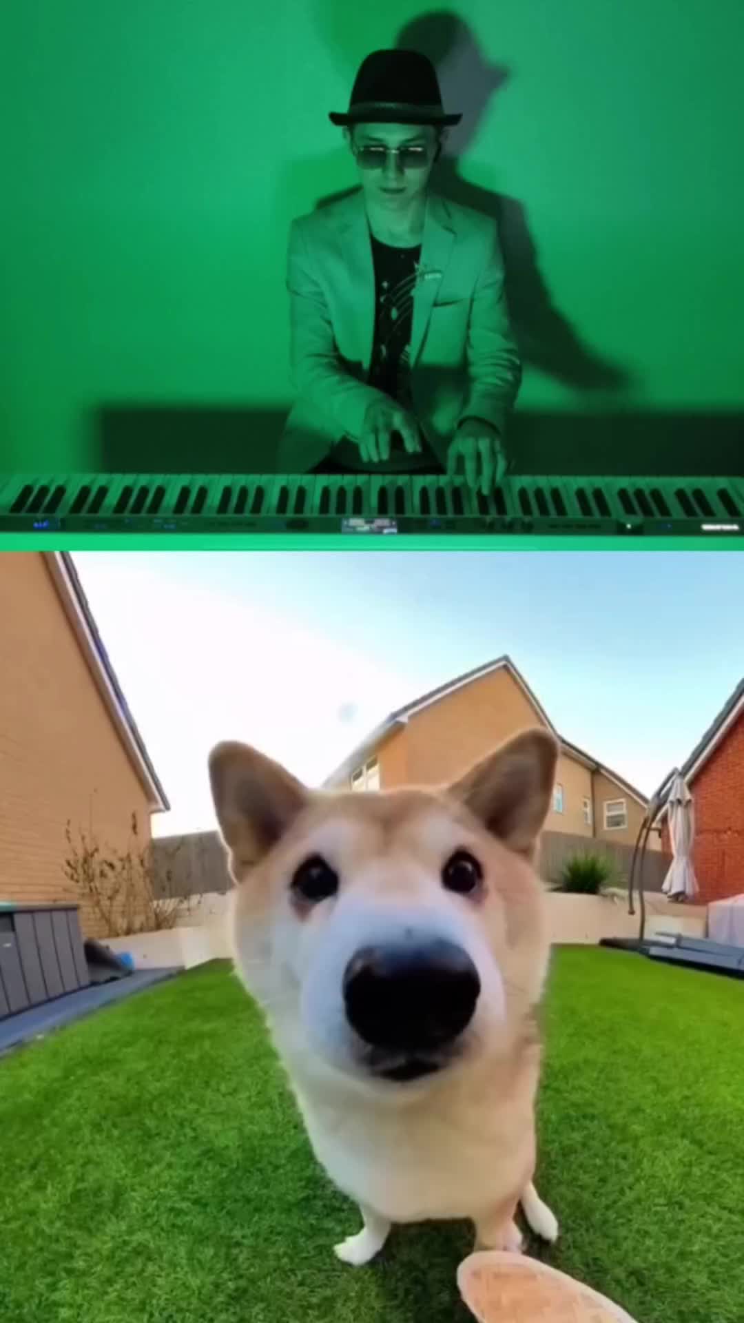GWENCHANA! Ding ding ding ding ding #cutenessoverload