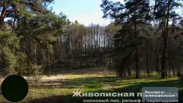 Еловый бор участки