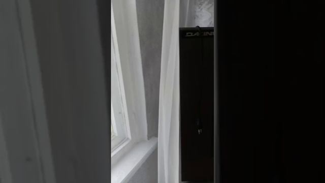 video5388994714395503583