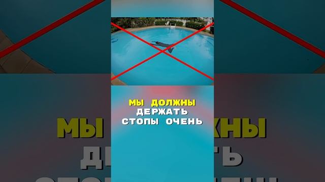 Ошибка при толчке ногами в брассе: цепляемся за воду раньше времени!