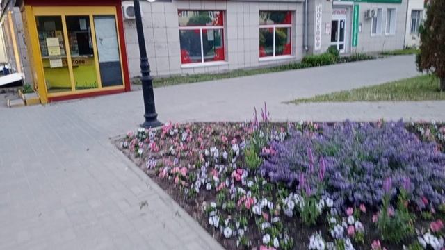 1000009084.mp4