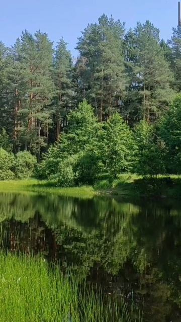 (52) Библия Евангелие от Иоанна глава 12 стих 23-34