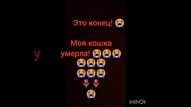 Кошка! 😭😭🌷🌷