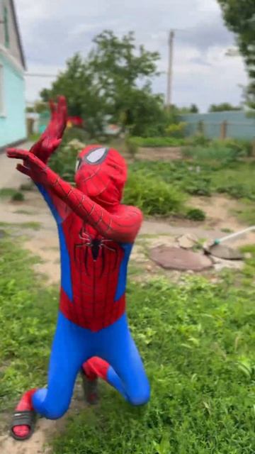 Happy little spiderman#shorts