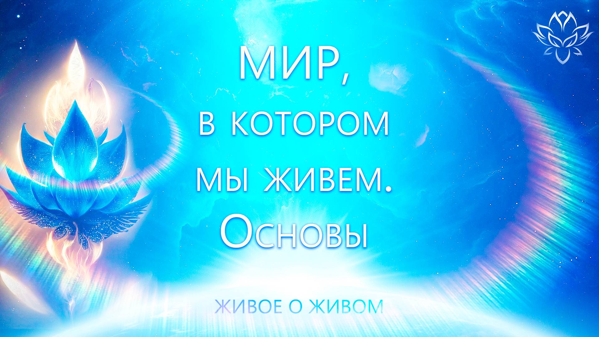 Мир, в котором мы живем. Основы