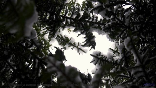 Ты НЕ СМОЖЕШЬ забыть это видео! - Bug -- Renata Zeiguer -- Live at WFMU for Sophisticated Boom Boom