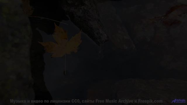 Музыка несёт сквозь облака и горы за минуту - On va exister -- M33 Project -- Unnamed album