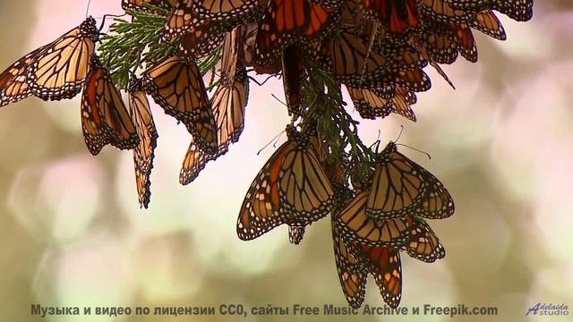 Эта песня - ваш секретный код для спонтанных путешествий - Selfish -- Derek Clegg -- Good Graces