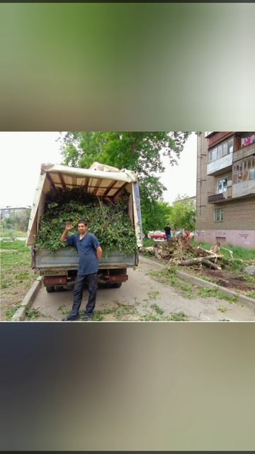 Вывоз спиленных веток Омск