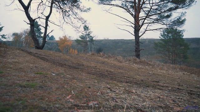 Музыка, которую слышат только избранные - вы среди них - Лена Батаева -- POVALISHIN DIVISION -- Запр