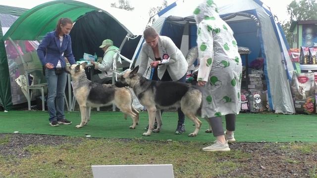 Класс открытый